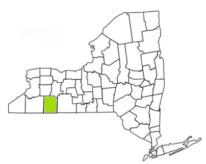 allegany county new york fire, fire departments in new york allegany county, new york county, ny fire stations, volunteer fire department, allegany county new york, allegany county fire station numbers, allegany county fire jobs, allegany county live dispatch, allegany county fire departments, allegany county ems, allegany county ambulance, allegany county new york firefighters, allegany ems