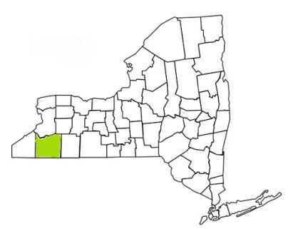 cattaraugus county new york fire, fire departments in new york cattaraugus county, new york county, ny fire stations, volunteer fire department, cattaraugus county new york, cattaraugus county fire station numbers, cattaraugus county fire jobs, cattaraugus county live dispatch, cattaraugus county fire departments, cattaraugus county ems, cattaraugus county ambulance, cattaraugus county new york firefighters, cattaraugus ems