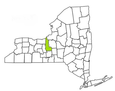 cayuga county new york fire, fire departments in new york cayuga county, new york county, ny fire stations, volunteer fire department, cayuga county new york, cayuga county fire station numbers, cayuga county fire jobs, cayuga county live dispatch, cayuga county fire departments, cayuga county ems, cayuga county ambulance, cayuga county new york firefighters, cayuga ems