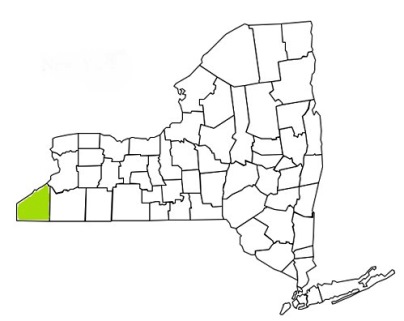 chautauqua county new york fire, fire departments in new york chautauqua county, new york county, ny fire stations, volunteer fire department, chautauqua county new york, chautauqua county fire station numbers, chautauqua county fire jobs, chautauqua county live dispatch, chautauqua county fire departments, chautauqua county ems, chautauqua county ambulance, chautauqua county new york firefighters, chautauqua ems