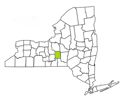 cortland county new york fire, fire departments in new york cortland county, new york county, ny fire stations, volunteer fire department, cortland county new york, cortland county fire station numbers, cortland county fire jobs, cortland county live dispatch, cortland county fire departments, cortland county ems, cortland county ambulance, cortland county new york firefighters, cortland ems