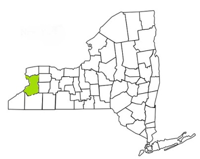 erie county new york fire, fire departments in new york erie county, new york county, ny fire stations, volunteer fire department, erie county new york, erie county fire station numbers, erie county fire jobs, erie county live dispatch, erie county fire departments, erie county ems, erie county ambulance, erie county new york firefighters, erie ems