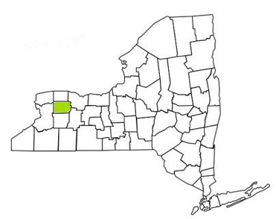 genesee county new york fire, fire departments in new york genesee county, new york county, ny fire stations, volunteer fire department, genesee county new york, genesee county fire station numbers, genesee county fire jobs, genesee county live dispatch, genesee county fire departments, genesee county ems, genesee county ambulance, genesee county new york firefighters, genesee ems