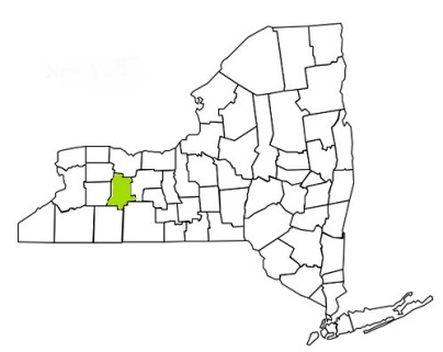 livingston county new york fire, fire departments in new york livingston county, new york county, ny fire stations, volunteer fire department, livingston county new york, livingston county fire station numbers, livingston county fire jobs, livingston county live dispatch, livingston county fire departments, livingston county ems, livingston county ambulance, livingston county new york firefighters, livingston ems