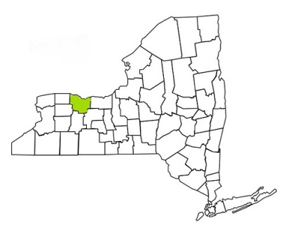 monroe county new york fire, fire departments in new york monroe county, new york county, ny fire stations, volunteer fire department, monroe county new york, monroe county fire station numbers, monroe county fire jobs, monroe county live dispatch, monroe county fire departments, monroe county ems, monroe county ambulance, monroe county new york firefighters, monroe ems