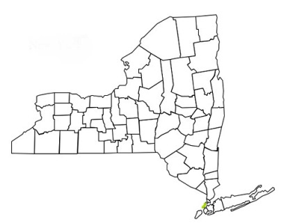 new york county new york fire, fire departments in new york new york county, new york county, ny fire stations, volunteer fire department, new york county new york, new york county fire station numbers, new york county fire jobs, new york county live dispatch, new york county fire departments, new york county ems, new york county ambulance, new york county new york firefighters, new york ems