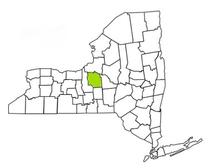 onondaga county new york fire, fire departments in new york onondaga county, new york county, ny fire stations, volunteer fire department, onondaga county new york, onondaga county fire station numbers, onondaga county fire jobs, onondaga county live dispatch, onondaga county fire departments, onondaga county ems, onondaga county ambulance, onondaga county new york firefighters, onondaga ems