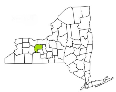 ontario county new york fire, fire departments in new york ontario county, new york county, ny fire stations, volunteer fire department, ontario county new york, ontario county fire station numbers, ontario county fire jobs, ontario county live dispatch, ontario county fire departments, ontario county ems, ontario county ambulance, ontario county new york firefighters, ontario ems