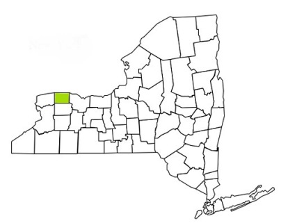 orleans county new york fire, fire departments in new york orleans county, new york county, ny fire stations, volunteer fire department, orleans county new york, orleans county fire station numbers, orleans county fire jobs, orleans county live dispatch, orleans county fire departments, orleans county ems, orleans county ambulance, orleans county new york firefighters, orleans ems