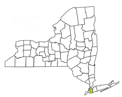 queens county new york fire, fire departments in new york queens county, new york county, ny fire stations, volunteer fire department, queens county new york, queens county fire station numbers, queens county fire jobs, queens county live dispatch, queens county fire departments, queens county ems, queens county ambulance, queens county new york firefighters, queens ems