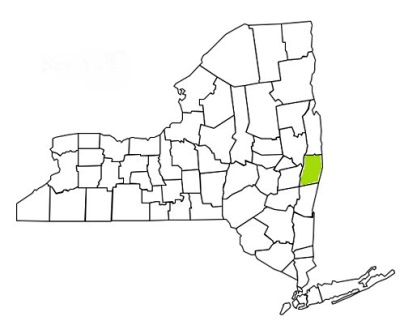 rensselaer county new york fire, fire departments in new york rensselaer county, new york county, ny fire stations, volunteer fire department, rensselaer county new york, rensselaer county fire station numbers, rensselaer county fire jobs, rensselaer county live dispatch, rensselaer county fire departments, rensselaer county ems, rensselaer county ambulance, rensselaer county new york firefighters, rensselaer ems