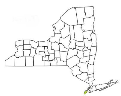 richmond county new york fire, fire departments in new york richmond county, new york county, ny fire stations, volunteer fire department, richmond county new york, richmond county fire station numbers, richmond county fire jobs, richmond county live dispatch, richmond county fire departments, richmond county ems, richmond county ambulance, richmond county new york firefighters, richmond ems