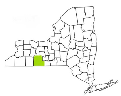steuben county new york fire, fire departments in new york steuben county, new york county, ny fire stations, volunteer fire department, steuben county new york, steuben county fire station numbers, steuben county fire jobs, steuben county live dispatch, steuben county fire departments, steuben county ems, steuben county ambulance, steuben county new york firefighters, steuben ems