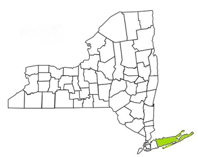 suffolk county new york fire, fire departments in new york suffolk county, new york county, ny fire stations, volunteer fire department, suffolk county new york, suffolk county fire station numbers, suffolk county fire jobs, suffolk county live dispatch, suffolk county fire departments, suffolk county ems, suffolk county ambulance, suffolk county new york firefighters, suffolk ems