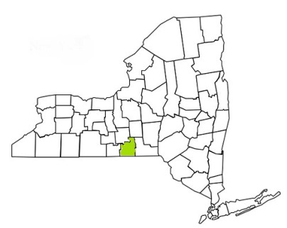 tioga county new york fire, fire departments in new york tioga county, new york county, ny fire stations, volunteer fire department, tioga county new york, tioga county fire station numbers, tioga county fire jobs, tioga county live dispatch, tioga county fire departments, tioga county ems, tioga county ambulance, tioga county new york firefighters, tioga ems