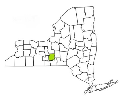 tompkins county new york fire, fire departments in new york tompkins county, new york county, ny fire stations, volunteer fire department, tompkins county new york, tompkins county fire station numbers, tompkins county fire jobs, tompkins county live dispatch, tompkins county fire departments, tompkins county ems, tompkins county ambulance, tompkins county new york firefighters, tompkins ems