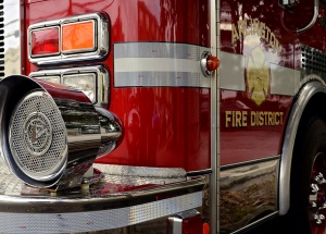 photo by Mike Lubchenko, GoldStarPhotos.com