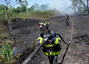 photo by Todd Maisel