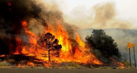 photo by Town of Clifton Park