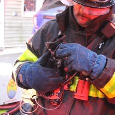 photo by City of Rensselaer Fire Department