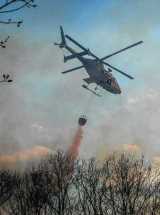 photo by Allyse Pulliam