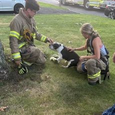 photo by Cronomer Valley Fire Department