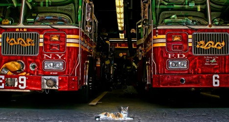 photo by Denis Evangelou