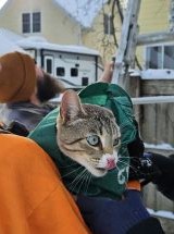 photo by Gowanda VFD