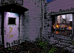 photo by Mark Estabrook