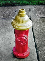 photo by Mark Estabrook