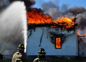 photo by Sheldon VFC