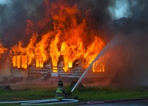 photo by Sheldon VFC