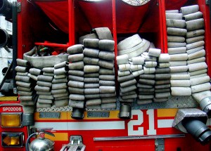 photo by Tony O Regan